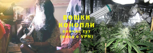 MESCALINE Бородино