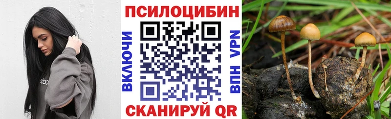 Галлюциногенные грибы GOLDEN TEACHER магазин kraken онион Новосокольники
